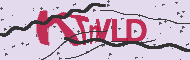 Codice captcha